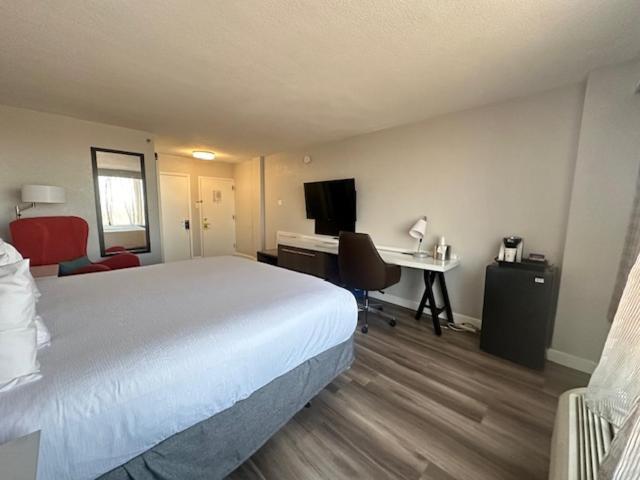 Wyndham Garden Norfolk Downtown Hotel Ngoại thất bức ảnh